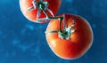 Red tomatoes under water Royalty Free Stock Photo