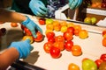 Red tomatoes on vegetable processing factory Royalty Free Stock Photo