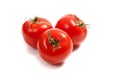 Red tomatoes on a vine Royalty Free Stock Photo