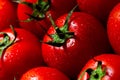 Red tomatoes with water drops