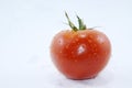 Red tomatoes on a white background