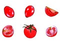 Red tomatoes on white background vector. Tomato halves. Whole tomato. Tomato vector set.