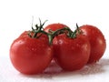 Red tomatos Royalty Free Stock Photo