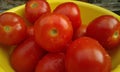 red tomatos Royalty Free Stock Photo