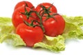 Red tomatos with leaves cabbage