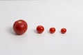 Red tomatos in a row Royalty Free Stock Photo