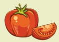 Red tomatos.Vector fresh vegetable isolated illust