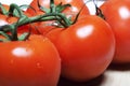 Red tomatos on a vine Royalty Free Stock Photo