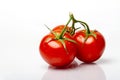 Red Tomatos On the vine Royalty Free Stock Photo