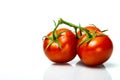 Red Tomatos On the vine Royalty Free Stock Photo