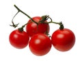 Red tomatto, isolated Royalty Free Stock Photo