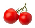 Red tomatto, isolated Royalty Free Stock Photo