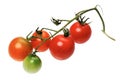 Red tomatto, isolated Royalty Free Stock Photo