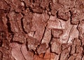 Red toned tree bark surface. Royalty Free Stock Photo