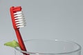 Red toothbrush in a glass cup Royalty Free Stock Photo