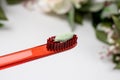 Red toothbrush with green natural toothpaste Royalty Free Stock Photo