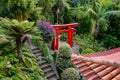 Red tori in exotic Asian garden Royalty Free Stock Photo