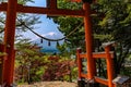 red tori gate with Mount Fuji at Chureito pagoda, kawaguchiko, Japan Royalty Free Stock Photo