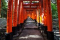 Red Tori lead up the mountain path at Fushimi Inari Shrine, Kyoto
