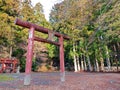 Old Red tori in mount koya, Japan