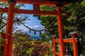 Red tori with Mount Fuji in the background at Chureito pagoda Royalty Free Stock Photo