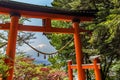 Red tori with Mount Fuji in the background at Chureito pagoda