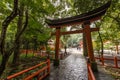 Red tori in Usa Jingu shrine, Oita, Japan