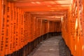 Red Torii of Fushimi Inari Shrine, Kyoto, Japan Royalty Free Stock Photo