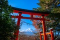 Red Torii gate of Chureito Pagoda Mount Fuji in centre under blue sky autumn. Shimoyoshida - Fujiyoshida Royalty Free Stock Photo