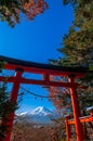 Red Torii gate of Chureito Pagoda Mount Fuji in centre under blue sky autumn. Shimoyoshida - Fujiyoshida Royalty Free Stock Photo