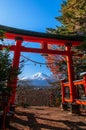 Red Torii gate of Chureito Pagoda Mount Fuji in centre under blue sky autumn. Shimoyoshida - Fujiyoshida Royalty Free Stock Photo