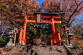 Red Torii gate of Chureito Pagoda Shrine entrance under autumn maple tree. Shimoyoshida - Fujiyoshida Royalty Free Stock Photo