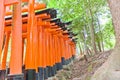 Red torii gate corridor in Fushimi Inari Shinto Shrine of Kyoto, Japan Royalty Free Stock Photo