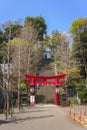 Red torii gate and famous steep stairs of success of Atago shrine in Tokyo.