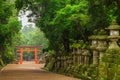 Red torii gate and stone lanterns, Kasuga Taisha Shrine, Nara, Japan Royalty Free Stock Photo