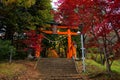 Red Torii gate to chureito pagoda Royalty Free Stock Photo