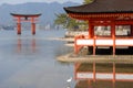 Red torii gate in the water