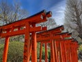 Tokyo, Japan - April 2019: Red Torii Gates at the Nezu Shrine with blue sky background Royalty Free Stock Photo