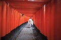 Red torii gates of famous landmark Fushimi Inari shrine, south of Kyoto, Japan Royalty Free Stock Photo