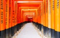 Red Torii gates in Fushimi Inari shrine in Kyoto, Japan Royalty Free Stock Photo