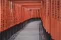 Red Torii gates in Fushimi Inari Shrine in Kyoto, Japan. Royalty Free Stock Photo