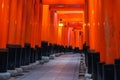 Red Torii gates in Fushimi Inari shrine in Kyoto, Japan Royalty Free Stock Photo