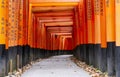 Red Torii gates in Fushimi Inari shrine in Kyoto, Japan Royalty Free Stock Photo