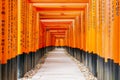 Red Torii gates in Fushimi Inari shrine in Kyoto, Japan Royalty Free Stock Photo