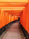 Red Torii Gates at Fushimi Inari Taisha, a Shinto Shrine in Kyoto Royalty Free Stock Photo