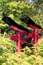 Red torii gates hidden in the foliage at Fushimi Inari shrine near Kyoto Japan