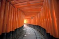 Red Torii Gates Japan