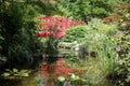 Red Torii gates and lacquered arched bridge in a Japanese zen  gardens Royalty Free Stock Photo