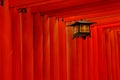 Red torii gates and lantern