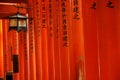 Red torii gates and lantern Royalty Free Stock Photo